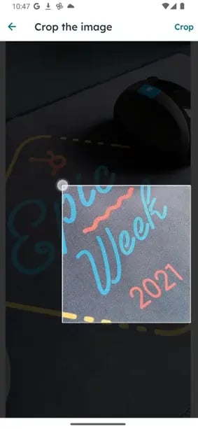 crop-social-images-in-app-article-image-2